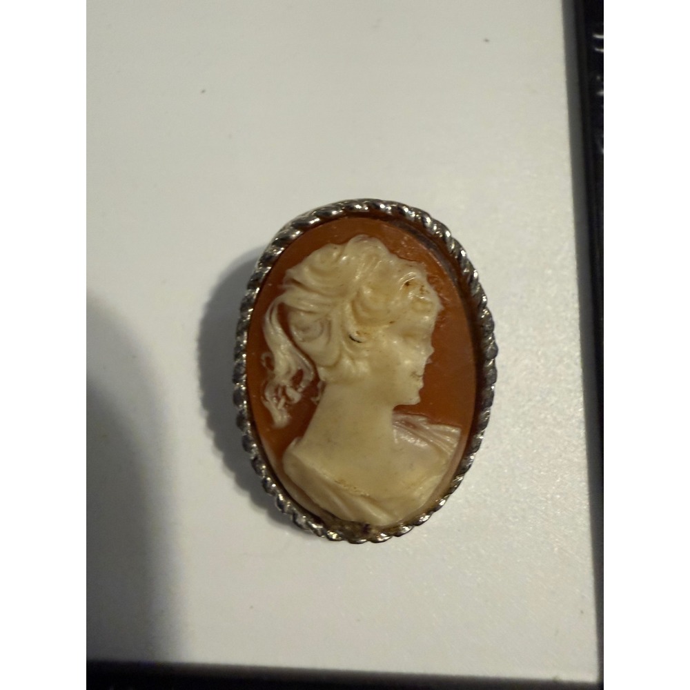 Vintage Cameo Brooch Silver Tone Twisted Rope Border‎ Victorian Style Pin Oval